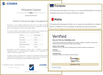 Licencas e sistemas seguranca Pinnacle