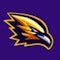 Bet Falcons square logo