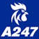 A247 logo square