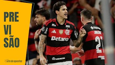 Artilheiro brasileirao