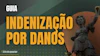 Capa artigo indenizacao por danos