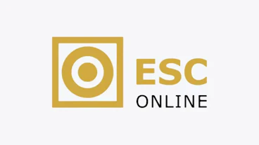 Capa artigo sobre esc online