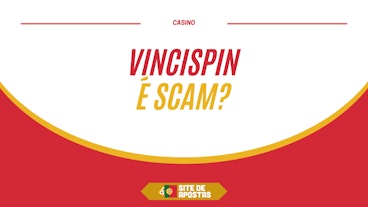 Capa artigo vincispin