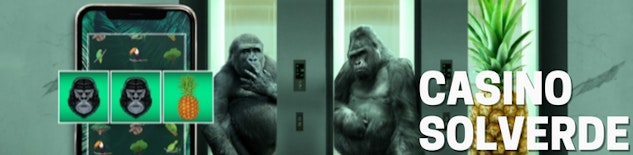 Asset63600277d2cd36 55883270