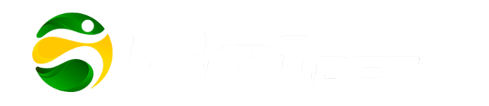 Logo br4bet transparent