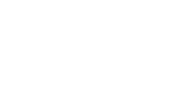Stake logo white